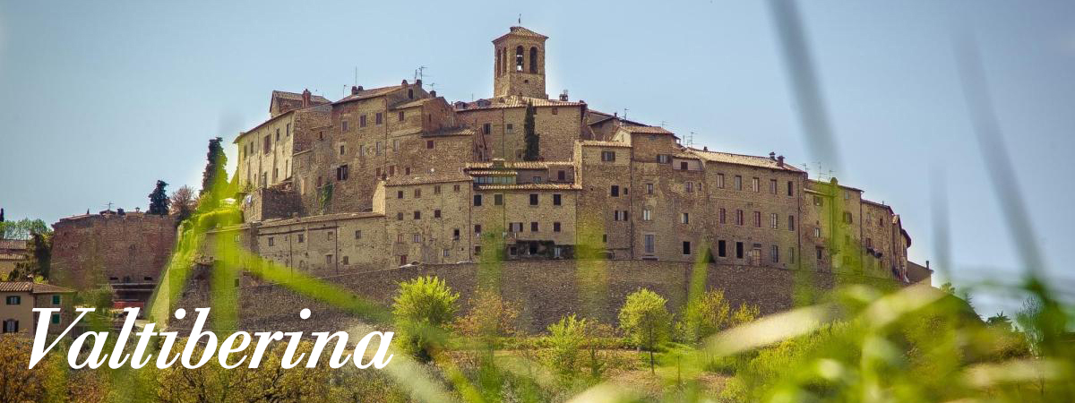 files/images/banner/valtiberina_s.jpg#joomlaImage://local-files/images/banner/valtiberina_s.jpg?width=1200&height=450